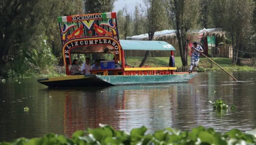 Detienen a 130 personas en Xochimilco, por incumplir el reglamento