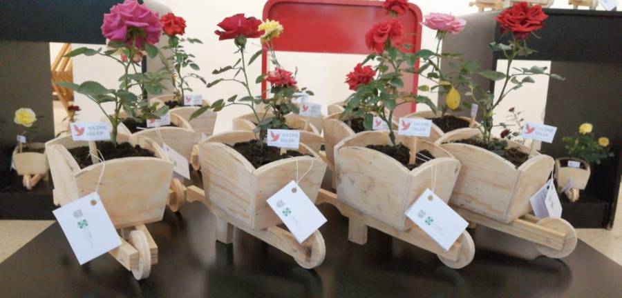 Presos plantan rosas para comerciar en el Día de San Valentín.