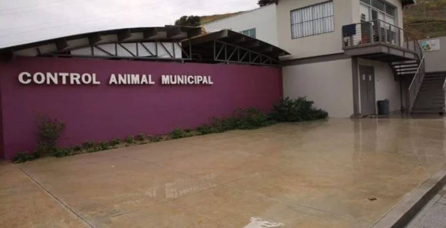 Inauguran clínica de mascotas gratuita en Tijuana