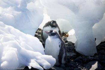 La Ant&aacute;rtida registr&oacute; temperaturas record