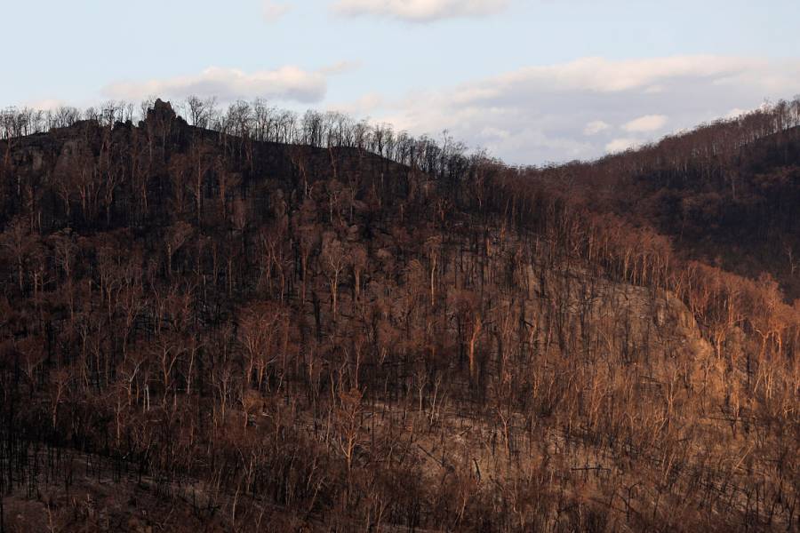 Australia contiene incendios forestales por primera vez desde septiembre