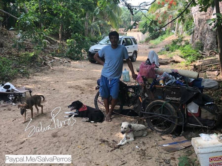 Con su triciclo como vehículo héroe salva a perritos de México
