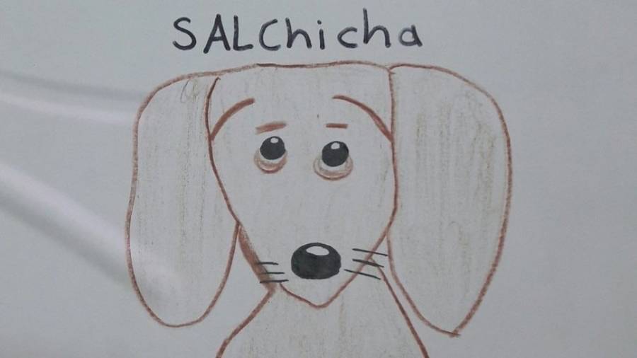 Pequeño busca a su perro perdido con dibujos