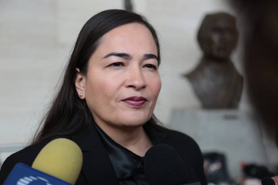 DIPUTADOS EXHORTARÁN A DISTINTAS AUTORIDADES A APLICAR MECANISMOS DE ERRADICACIÓN A LA VIOLENCIA DE GÉNERO