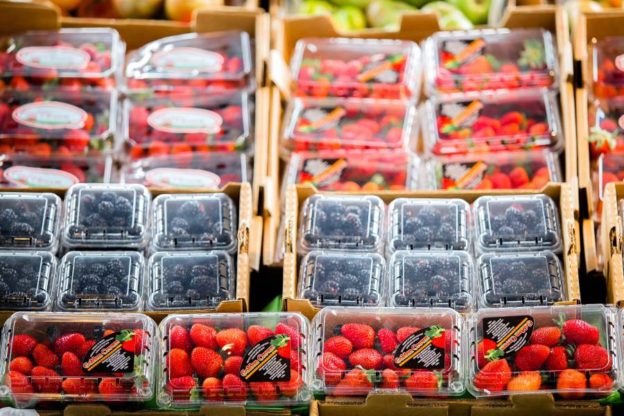 Cierra balanza agroalimentaria con nueve mil 091 mdd de superávit en 2019