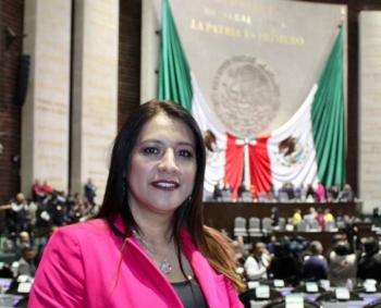 Demandan democratizar requisitos de selecci&oacute;n de consejeros electorales en todos los niveles