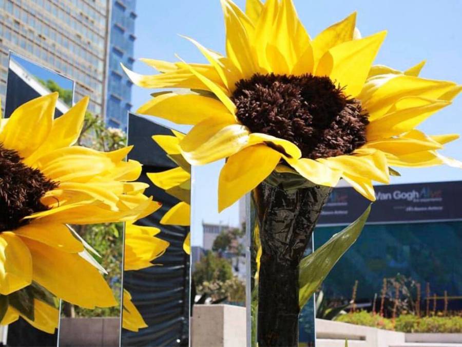 Regalan pases para asistir a Van Gogh Alive