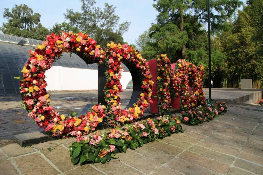 Se alista el Festival Flores y Jardines en Polanco