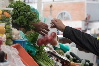 Econom&iacute;a de M&eacute;xico cay&oacute; 0.1% al cierre de 2019