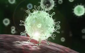 Con dos nuevos casos, ascienden a 14 los enfermos con coronavirus en España