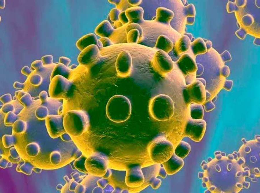 Lanza la OMS un curso gratuito sobre coronavirus para médicos