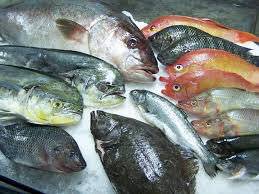 Diez supermercados que venden hielo a precio de pescado
