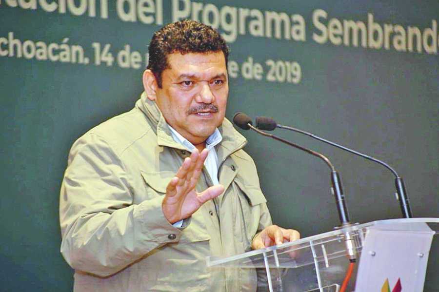 No pasa nada, nos reintegramos a las actividades: May Rodríguez