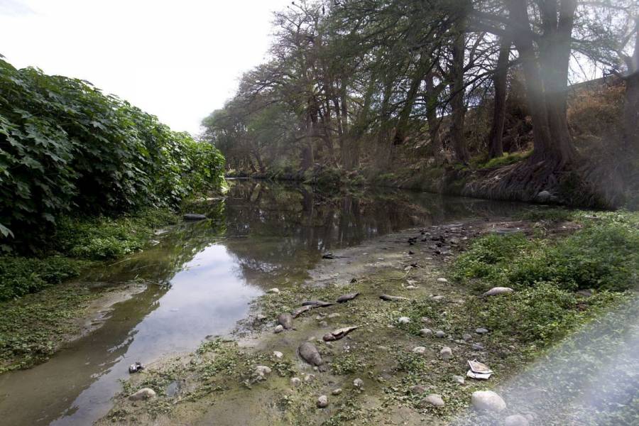 Hallan cuerpo de mujer en río Santa Catarina, NL