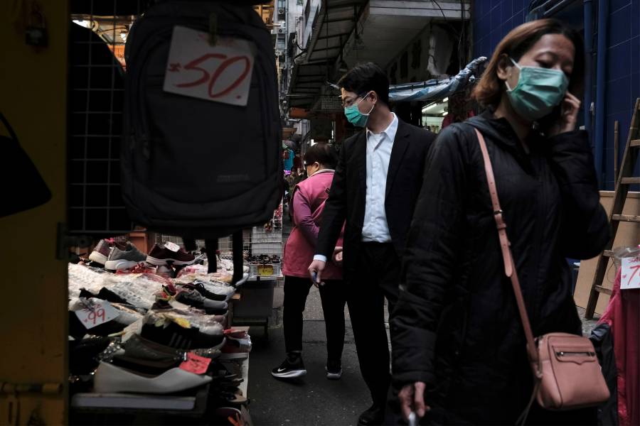 En Hong Kong, primer caso de un animal infectado por un humano de COVID-19