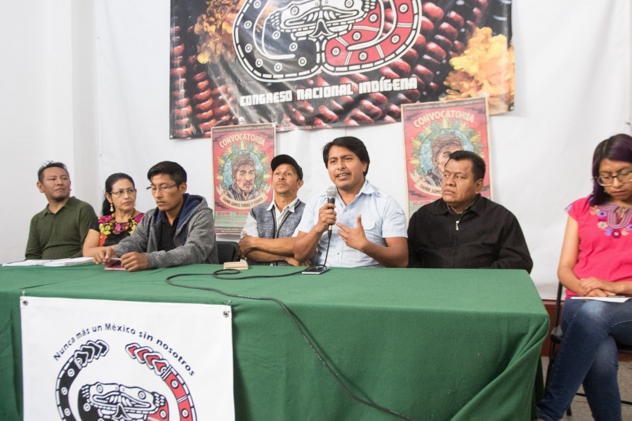 Suspenden Tren Maya, pero sólo en zona de Calakmul