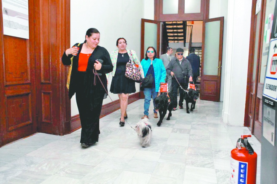 Piden a Semovi garantizar libre tránsito para discapacitados 