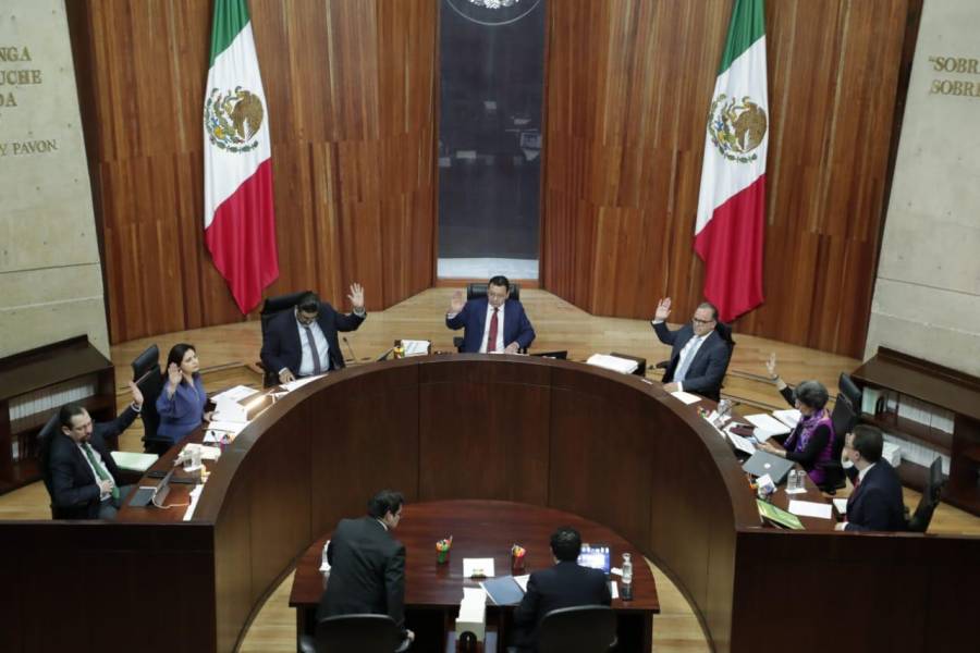 Confirma TEPJF a John Ackerman en el Comité Técnico de Evaluación del INE