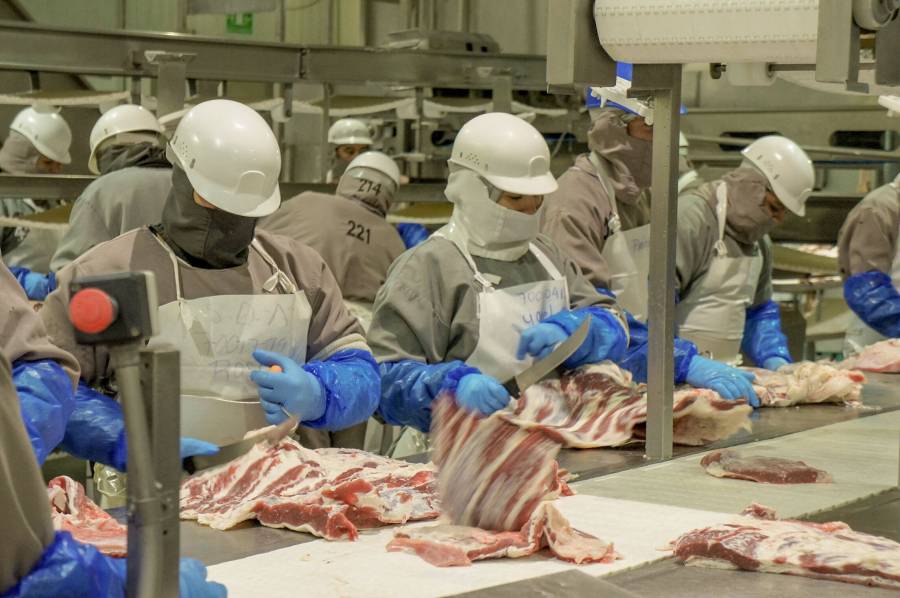 Crece producción de carne de bovino a un máximo histórico de 2 millones de toneladas