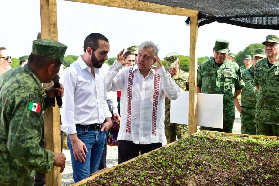 Rechaza AMLO polemizar con presidente de El Salvador por coronavirus