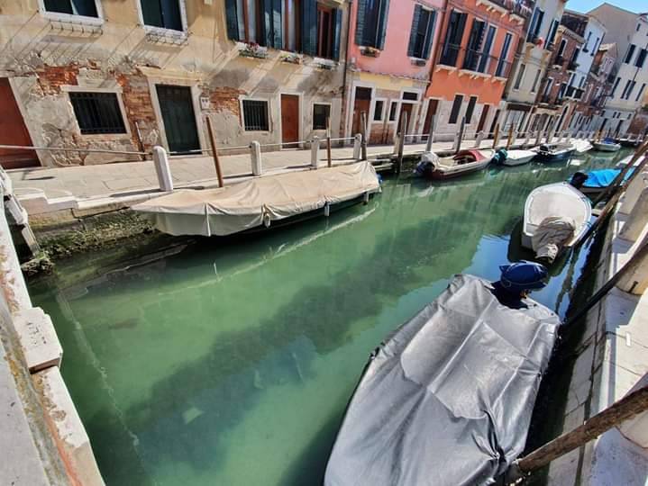 Canales de Venecia lucen cristalinos por COVID-19