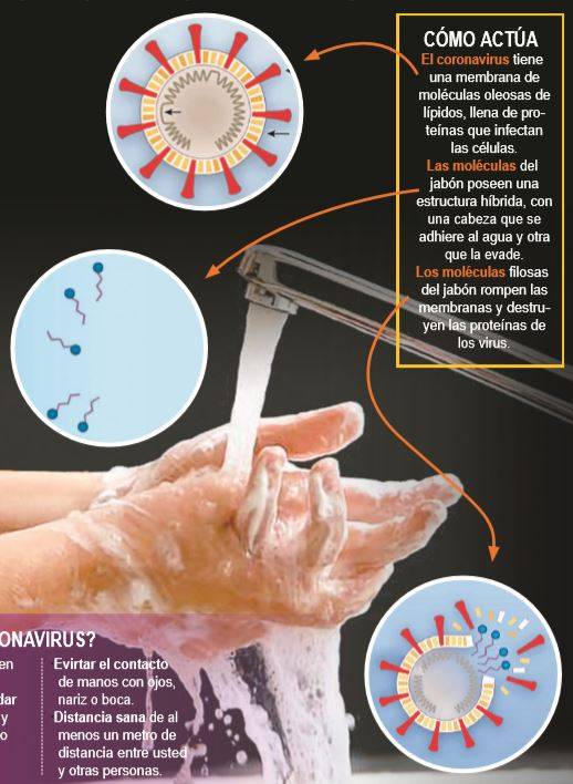 Agua y jabón eliminan virus en un 95%: experto