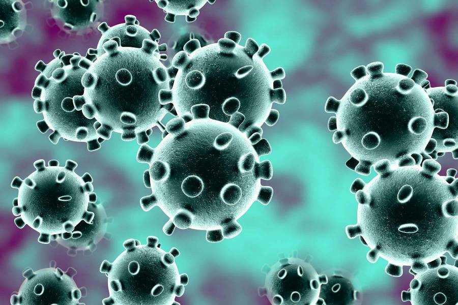 Coronavirus, nueva marca de cerveza en México