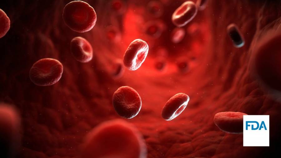 En EE.UU. utilizarán sangre de personas curadas de coronavirus para tratar pacientes graves