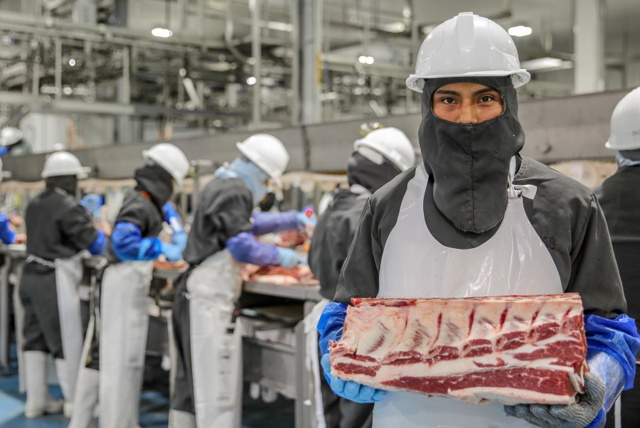 Garantizan alimentos durante cuarentena