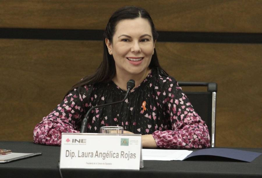 Presidenta de Cámara de Diputados presenta iniciativa para que puedan legislar vía remota