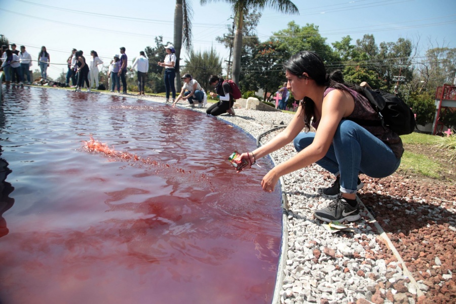 Al día, 8 mujeres son víctimas de homicidio doloso