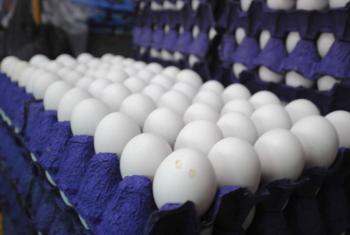 Multar&aacute;n con 3 mdp a quienes aumenten precios de productos b&aacute;sicos