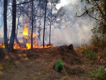Suman 28 incendios forestales activos en M&eacute;xico
