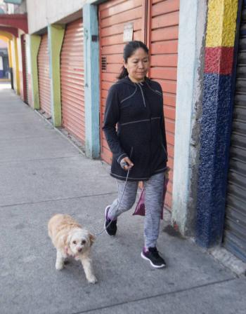 Personas con coronavirus podr&iacute;an transmitirlo a sus mascotas
