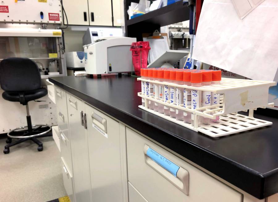 Forbes posiciona a México en el decimosegundo puesto de países que buscan cura para el coronavirus