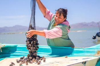 Adelantar&aacute; gobierno incentivos del Componente de Apoyo para Bienpesca