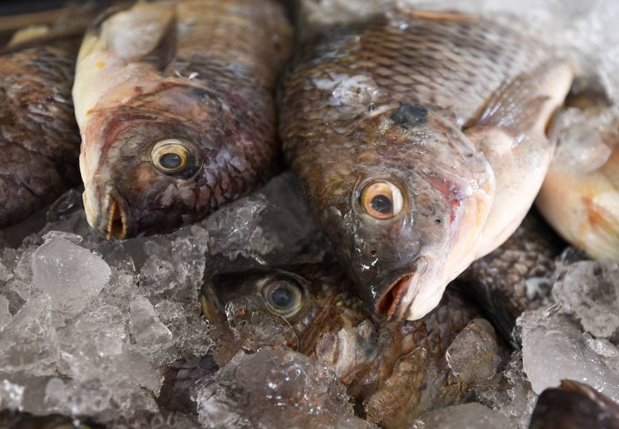 Poblanos abarrotan negocios de pescados y mariscos pese contingencia de salud