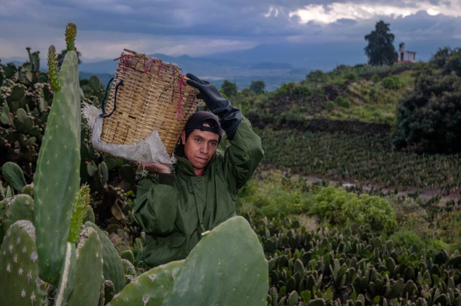 Conaza desarroll&oacute; proyectos en beneficio de pobladores de zonas &aacute;ridas y semi&aacute;ridas