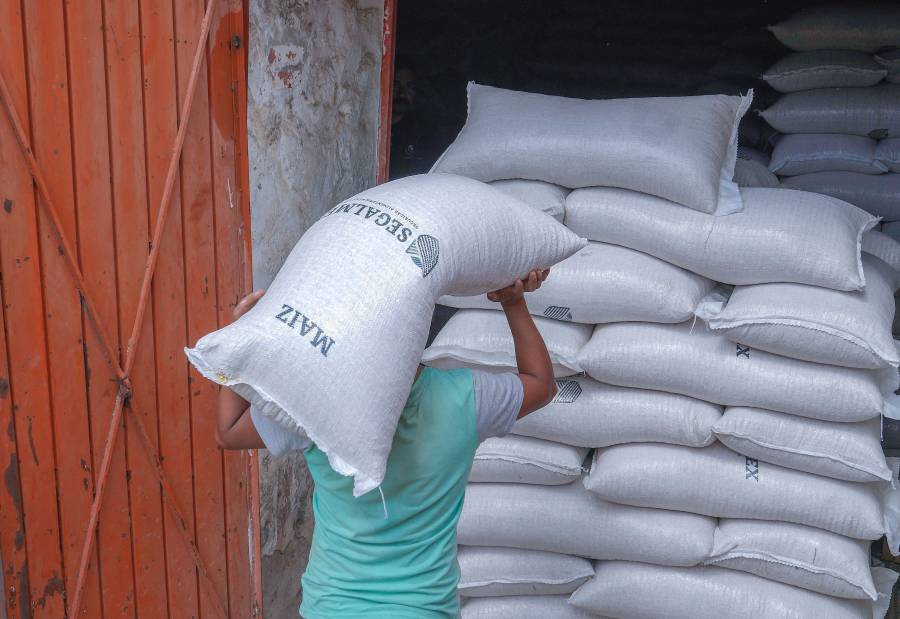 Brinda Segalmex certeza a productores de maíz de diversas entidades