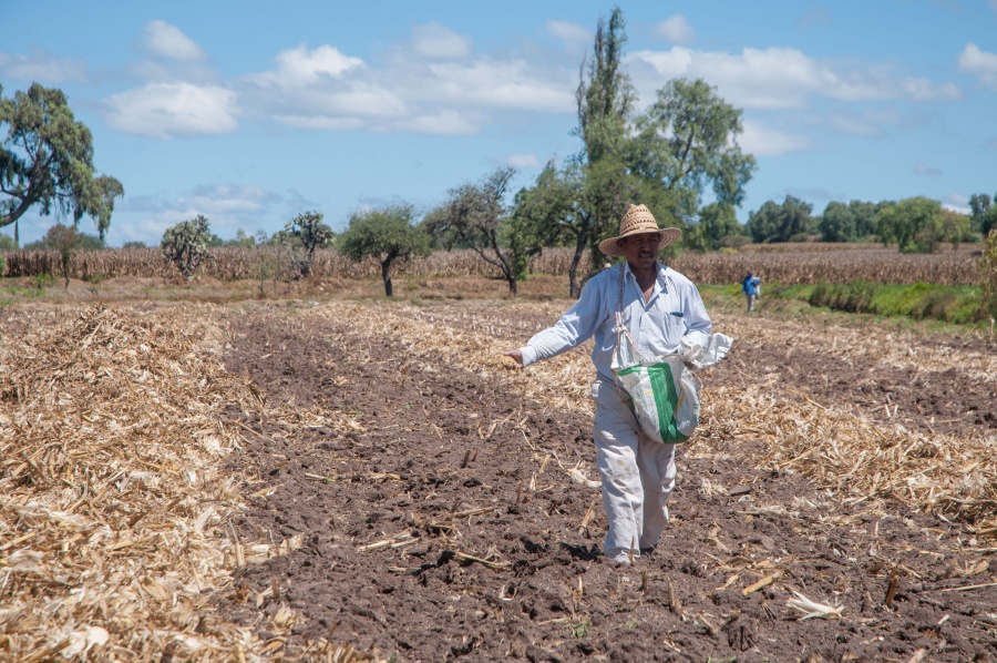 Agricultura garantiza disponibilidad de alimentos