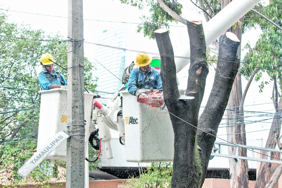 Diputados acuerdan pedir garantía de suministro de luz