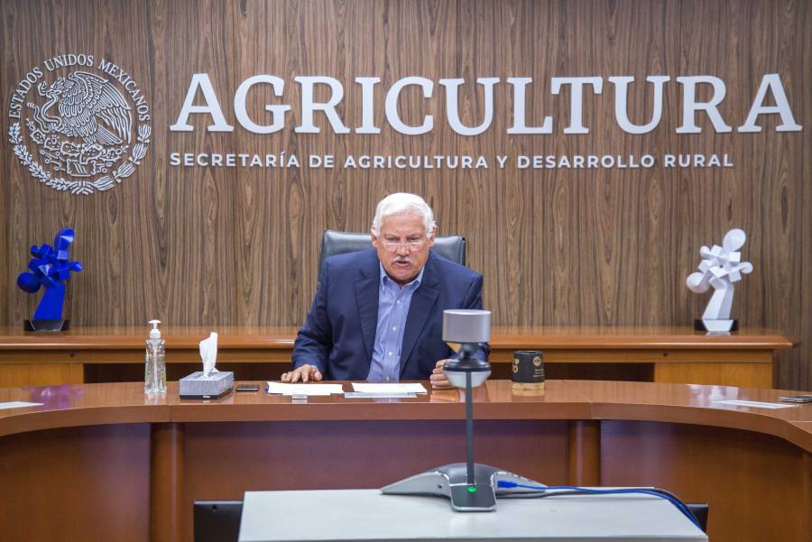 Se suma Agricultura a esfuerzos de FAO para mitigar efectos del COVID-19
