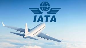 Anticipa IATA colapso en el aire