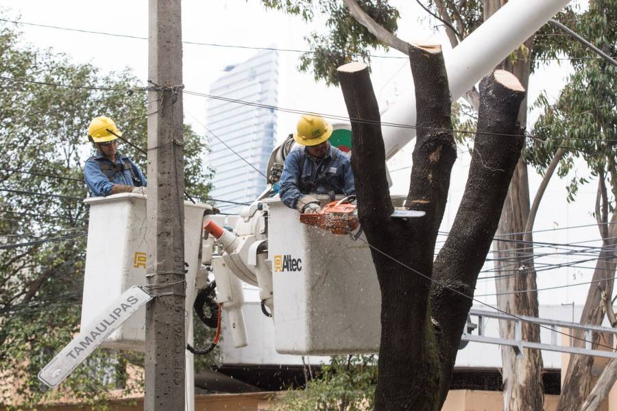 En contingencia el servicio eléctrico mantendrá sus tarifas aunque el consumo sea mayor como apoyo a familias