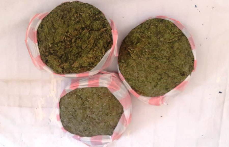Incauta Guardia Nacional más de 100 kilos de marihuana en Oaxaca
