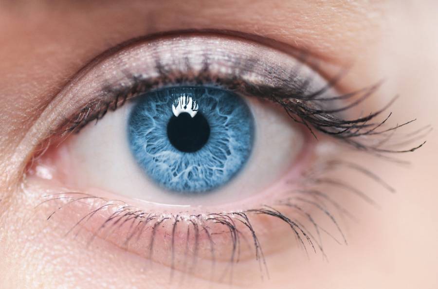 Da experto consejos para cuidar la salud de los ojos durante la pandemia