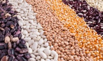 Advierte ONU que el mundo est&aacute; al borde de una pandemia alimentaria