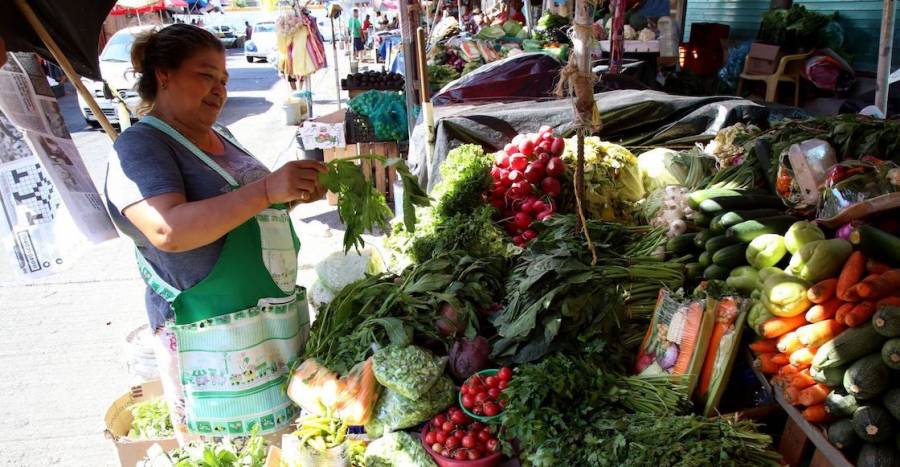 ¿Nuevo billete? solo en esta zona del Estado de México