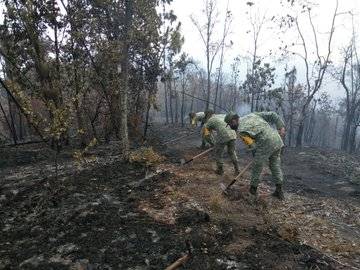 Por incendios SEDENA auxilia a seis estados