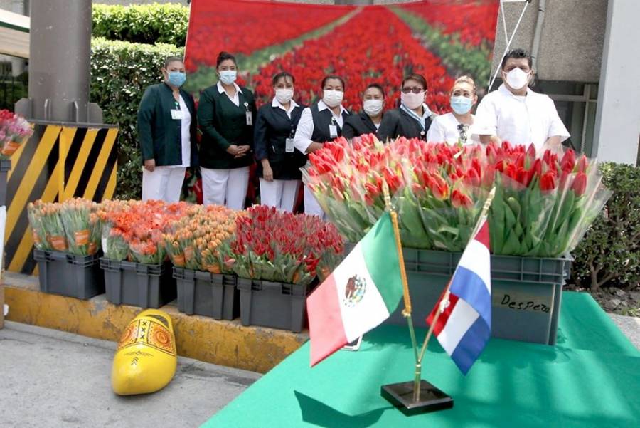 Pa&iacute;ses Bajos regala tulipanes al personal m&eacute;dico